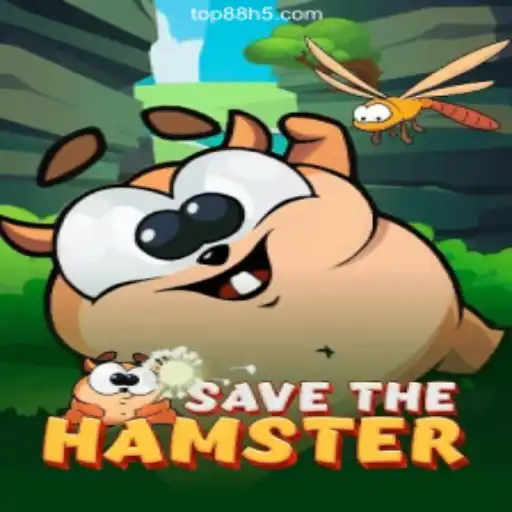 SavetheHamster: A Captivating Journey Through Puzzle Adventures